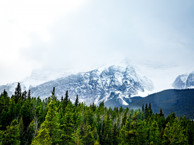 【壁纸大全素材】电脑手机平板壁纸一站式齐活，高清无广宝贵资源！