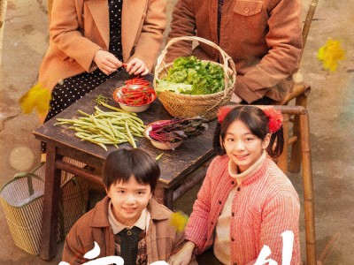 网剧新标杆【家里家外】全集已整理好，不用买，网盘自取